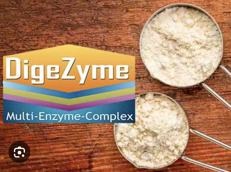 digezyme