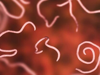 Nemoci zapříčiněné parazity | Paraziti - němí zabijáci